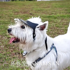 Puppy che nắng với đôi lỗ tai mũ che gáy ngoài trời trang phục vành đai trang phục ngoài trời đạo cụ chụp ảnh đầy màu sắc