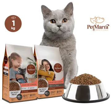 Cat food without salt best sale