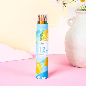 Erasable Colored Pencils Sets 12/24/36 Colors Wood-Free Painting Students School Supplies Craft Drawing Arts