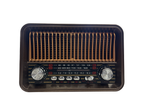 HR29BT Portable Bluetooth Music Player with FM/AM/SW Radio