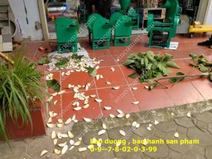 Máy thái dược liêu thái thân cây cứng và mềm