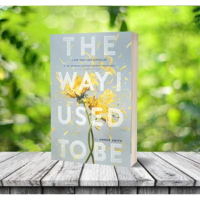 The Way I Used to Be by Amber Smith