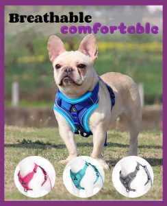 [Stock Ready] Small pet puppy chest harness Vest reflective walking leash vest anjing kucing狗狗牵引绳 宠物胸背带 猫