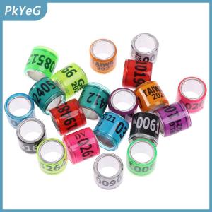 PkYeG 20 pcs Pigeon vòng chân với từ Bông tai 2024 Nhiều màu chim công cụ