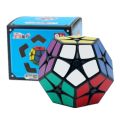 Puzzle Rubik Shengshou 2x2 Kilominx MEGAMINX segi5 Cubik Asah otak IQ. 