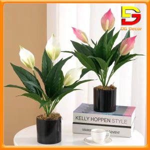 Chậu Cây Để Bàn Cây Giả Decor Cao 25-50cm Nhiều Mẫu Cắm Sẵn Trang Trí Nhà Cửa DC-139