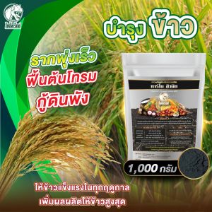 ฮิวมิกข้าว 🌾 ข้าวโตไวx3 แก้ดินพัง ข้าวโตทันใจ แตกกอดี รากแตกไว แทงยอดดี ทาร์โบฮิวมิก 1 กิโลกรัม