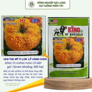 (Gói 50 hạt) Hạt Giống Hoa Vạn Thọ Mỹ KING SUTU G9 -Pro - lùn lỡ - vàng chùa - cổ lùn- bông to chắc- cổ mập