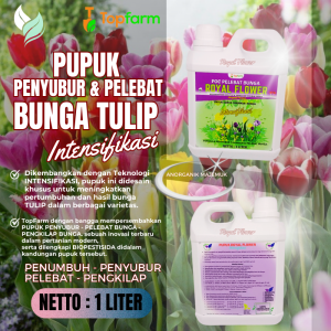 Pupuk Bunga Supaya Berbunga / Pupuk Pelebat Bunga Tulip / Pupuk Untuk Bunga Tulip / Pupuk Bunga Tulip / Pupuk Khusus Bunga Tulip