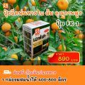 ส้ม โตไว ใบเขียว ผลใหญ่ ผลผลิตดี ฉีดพ่นปุ๋ย FK-1 ต้นทุนต่อไร่ถูกกว่าปุ๋ยเม็ด 4เท่า เพิ่มผลผลิตสูงสุด 20เปอร์เซ็นต์. 