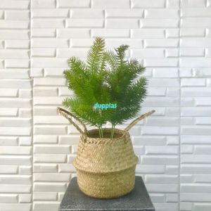 Tanaman Hias Daun Pinus Cemara Tangkai X4 Latex Artificial Cover Pot Anyaman Purun Belly Pajangan Dekorasi Ruangan