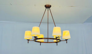 Chandelier Đèn Thả Hiện Đại 6 Cánh Cấu Trúc Chống Gỉ Tiết Kiệm Năng Lượng