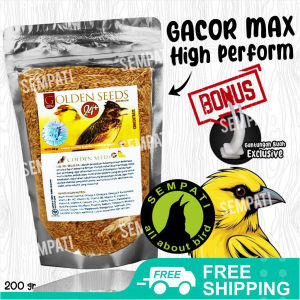 SEMPATI FREE GANTUNGAN BUAH Pakan Burung Kenari Branjangan Golden Seed Premium Hw PGSPHW
