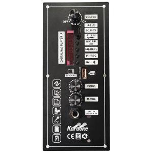 【Local delivery】 D10 12V 24V Subwoofer Digital Power Amplifier Board Wireless Audio Stereo Bluetooth-Compatible 5.0 Dual Microphone Karaoke Amp with display