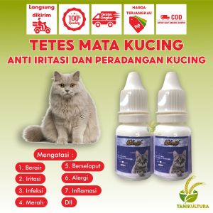 Obat Tetes Mata Kucing Ampuh Mengatasi Infeksi Mata Belekan Berair Berselaput Bengkak Katarak Pada Anabul Kitten Kucing Dewasa