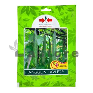 Benih Oyong Gambas ANGGUN TAVI F1 Isi 20 Butir Cap Panah Merah