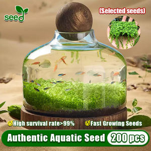 [Selected Seeds 40pcs] Aquatic Seeds for Planting Flowers Aquatic Grass Plant Seeds (Fast Growing) Aquascape Herb Seeds Flower Seeds Aquarium Plant Seed Water Grass Seeds Water Grass Live Plants for Sale Indoor Plant Air Plant Home Garden Decoration Items