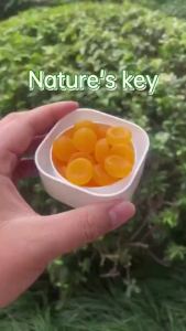 Natures Key Biotin 2500mcg Gummies with Vitamin C & E Antioxidant Support for Hair Skin Nails Health & Immune System Care