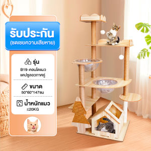 งานไม้ทั้งหลัง คอนโดแมว แข็งแรง ทนทาน คอนโดแมวไม้ คอนโดแมวขนาดใหญ่ คอนโดแมวหลังใหญ่หลายดีไซน์ บ้านแมว แข็งแรง