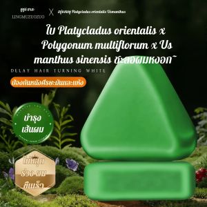 แชมพูบาร์ Arborvitae Usmanthus สดชื่นและทำความสะอาด ป้องกันผมขาดหลุดร่วง สบู่เนื้อนุ่มควบคุมความมัน บำรุงและบำรุงเส้นผม