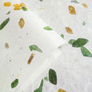 Paper Valley - กระดาษสาใส่ใบจามจุรี Raintree kozo paper (64x47 cm 5 แผ่น)