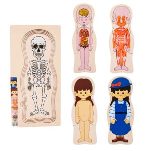 MI LI Multi-Layer Wooden Human Body Puzzle Parent-child Interaction Boys Girls Educational Anatomy Jigsaw Childrens Tabletop Toys Panel Toy Body Structure Puzzle Cognitive Teaching Aids