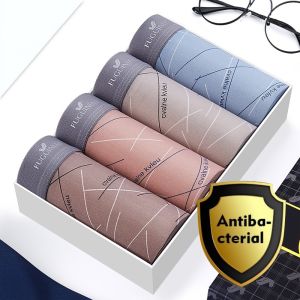 Men Underwear Boxer For Men Cotton Youth 2025 Breathable Antibacterial Briefs 4 Pcs 6 Pcs