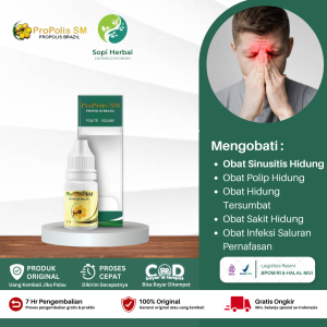 Obat Sinusitis Obat sinusitis polip hidung Obat Sinusitis Hidung Bau Busuk Infeksi Saluran Pernafasan Obat Pilek Menahun Obat Benjolan Di Hidung Polip Hidung tersumbat Dengan ProPolis SM