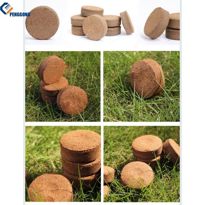 [PENGGONG] 60 Pack Quantity Coconut Coir Blocks Compressed Nutrient ...