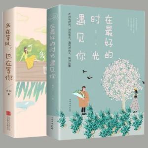 现货~我在等风也在等你 在最好的时光遇见你 青春励志文学畅销书籍 青春都市言情小说