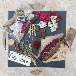 Paket Bunga Kering MIX Import Aneka Kolase Kerang Akuarium Christmas Decor Rustic Dried Flower