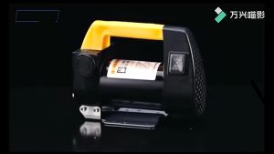 12V 24V Electric Fuel Transfer Pump Portable Self Priming Diesel Kerosene Oil Extractor Auto Pam Diesel Eletrik 电动柴油泵