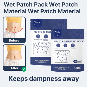 【Rapid Detox】6PCS Herbal Dehumidifying Plaster Reduce Swelling And Detoxify Natural Mugwort Formula Hot Patch Pain Relief Pad