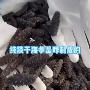 现货淡干海参大连淡干海参正宗淡干小海参干货非即食海参可泡发海参QWHG