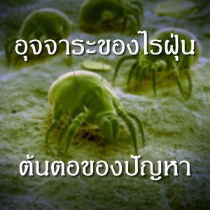 สเปรย์กำจัดไรฝุ่น BIOION ที่นอนคัน นอนที่นอนแล้วคัน ไรฝุ่นกัด ไรที่นอนกัด แพ้ไรฝุ่น ที่นอนคันยุบยิบ สูตรน้ำ สารสกัดจากพืช 100% ปลอดภัยต่อทารกและ สัตว์เลี้ยง 500ml ไม่มีกลิ่น