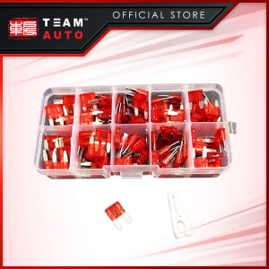 TeamAutoCare TAC6240 100 Pieces Automotive Mini Blade Fuse 10A Replacement Kit with Storage Case and Fuse Puller for Cars  Trucks  Motorcycles