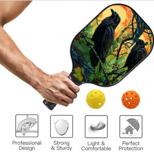 Pickleball Paddle with 2 Balls Lightweight & Durable Carbon Fiber Surface Perfect for Beginners & Pros ID 60625-165445323