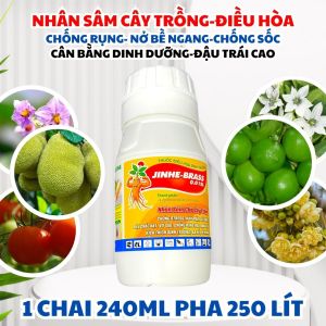 Nhân Sâm Cho Cây Trồng JINHE–BRASS 0.01SL – 1 CHAI PHA 240 LÍT NƯỚC | Chống stress kích rễ phục hồi nhanh - Điều Hòa Sinh Trưởng Chống Sốc Chống Rụng