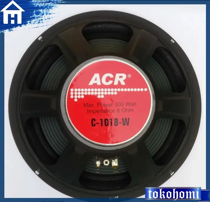 Speaker acr hot sale 10 inch