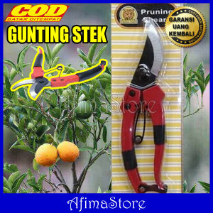 Alat Pemotong Ranting Dahan Stek Cangkok Pohon Gunting Tanaman Hidroponik Potong Tangkai Bunga Daun Bonsai Petik Biji Kopi Kacang Buah Cabai Cabe Rawit Jeruk Mangga Melon Mentimun Rambutan Tomat Pandan Teh Taman Hias Kebun Kecil