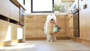 ZippyPaws Burrow- Interactive Dog & Puppy Toys for Boredom StimulatingProducts to Keep them Busy Hide & Seek Plush Puzzles Squeaky Toy for Enrichment For Small & Medium Dogs- Milk and Cookies