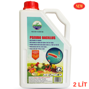 PSEUDO BACILLUS Chế Phẩm Trừ Bệnh héo Xanh Vàng lá Thối Rễ - Can 2 Lít
