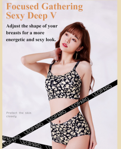 Ladies Pushup Seamless Leopard Print Bra Set