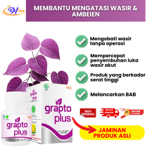 Grapto Plus Obat Herbal Wasir dan Ambeien Atasi Benjolan Anus Susah BAB