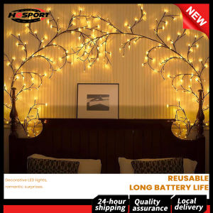 【HOSPORT】 Outdoor LED Willow Vine Lights with Remote Control 96 LEDs for Festive Home Decor