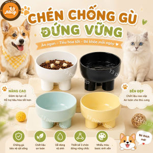 chén chống gù chân to đứng vững dành cho chó mèo - T3 PETS SHOP