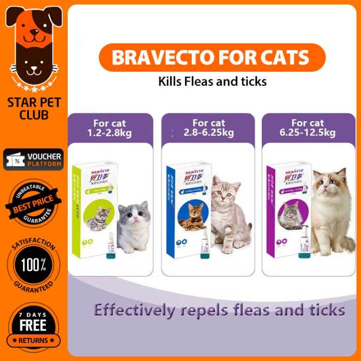 Gallery Detail: Bravecto Cat External Insect Repellent Drops To Remove Fleas And