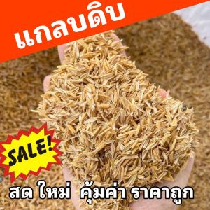 แกลบดิบ ราคาส่ง แกลบขาว ใหม่ สะอาด ราคาถูก 500g 1kg 3kg