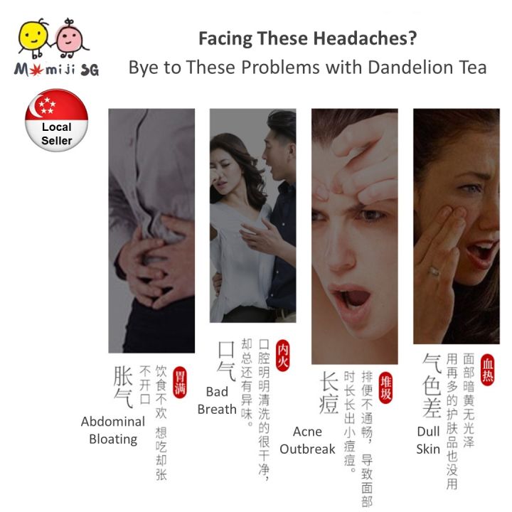 Dandelion%20Tea%20(30%20teabags)%20Cooling%20Herbal%20Tea%20-%20All%20Natural%20No%20Addictive%20-%20Image%205