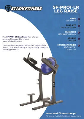 Stark Fitness Leg Raise Machine